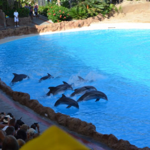 Loro Parque