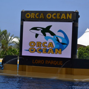 Loro Parque