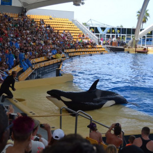 Loro Parque