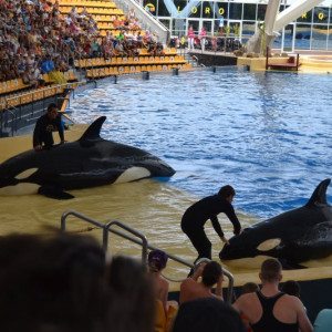 Loro Parque