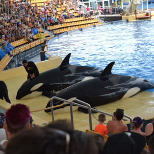 Loro Parque