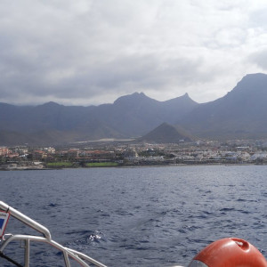 Passeio de barco pela costa