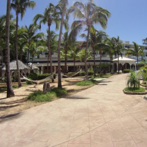 DSC01175