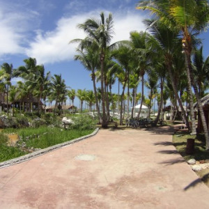 DSC01178