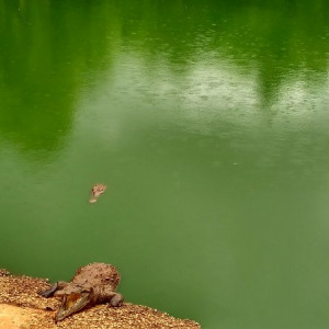IMG_20160715_145931_HDR