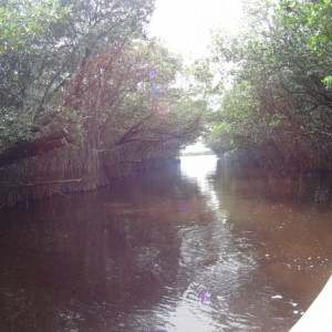 DSC01538