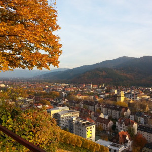 20151030_165236