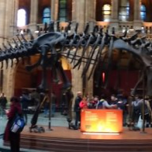 PANO_20160209_145049