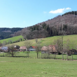 20160326_142917
