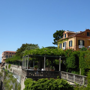 P1000344