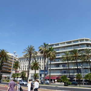 P1000681