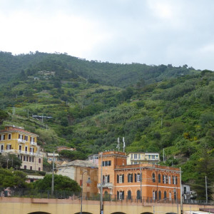 P1000563
