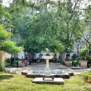 Parquecentral2
