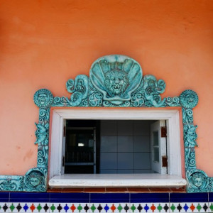 DSCF0608