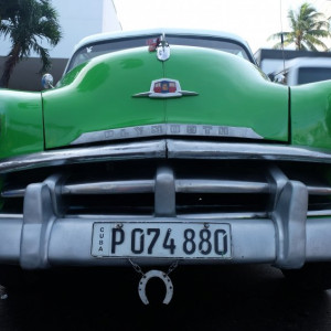 DSCF0453