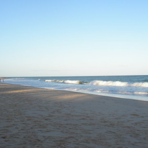 Brasil Praia Do Forte 2009 063