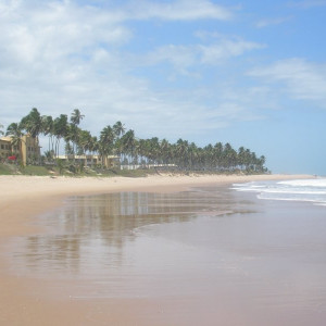 Brasil 231