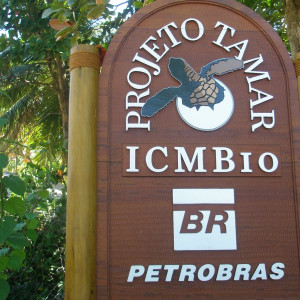 Brasil Praia Do Forte 2009 254