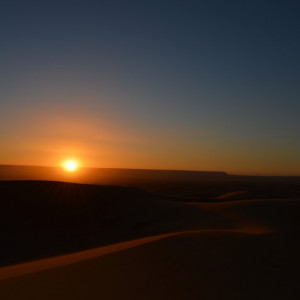 DSC_0161 (2)