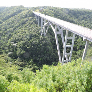 DSCN2541