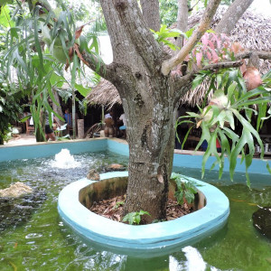 DSCN2694