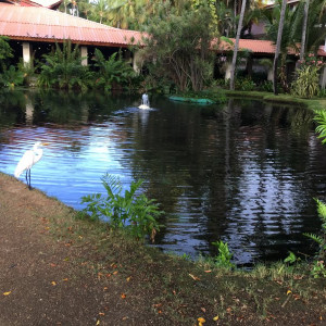 2016-07-29 07.59.32