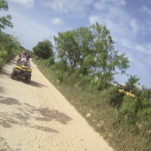 PICT0337