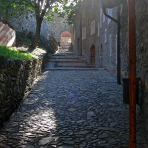 SionDSC03305