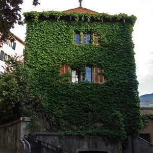 SionDSC03308