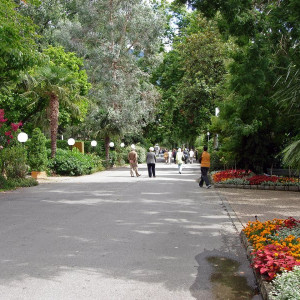 DSC03923