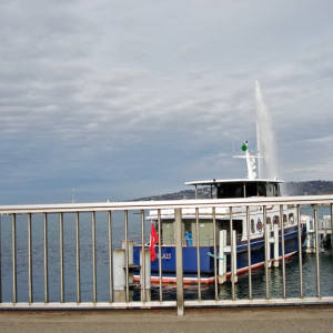 DSC04921