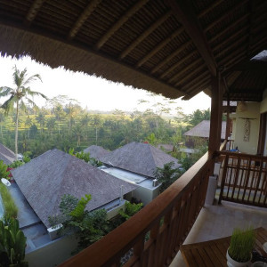 GOPR0227