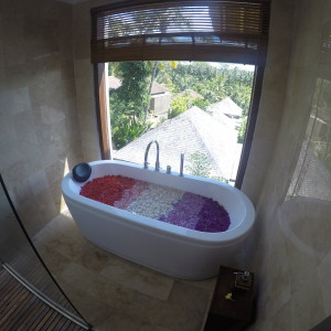 GOPR0955