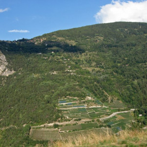 DSC03755
