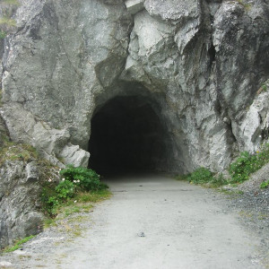 DSC03672