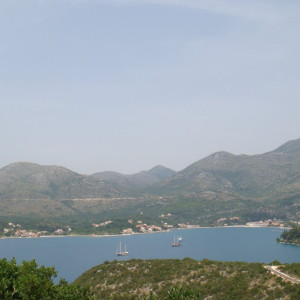 DSC03554