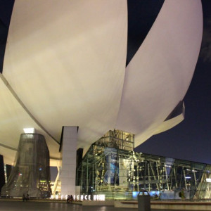 ArtScience Museum @Marina Bay Sands