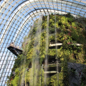 Cloud Forest @ Gardens by the Bay