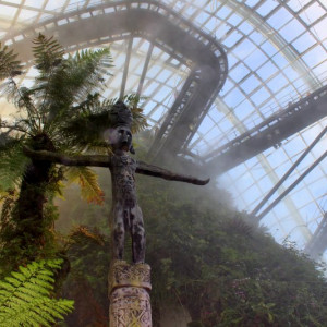 Cloud Forest