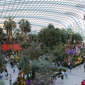 Flower Dome