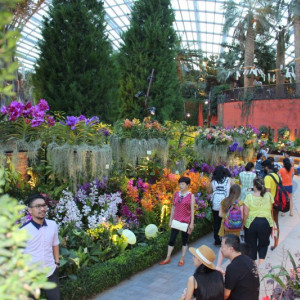 Flower Dome
