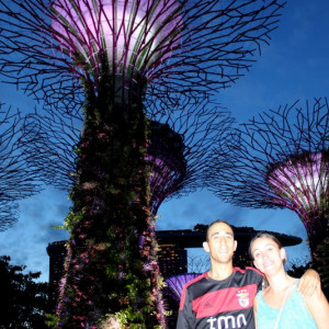 Supertree Grove