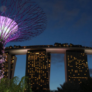 Supertree Grove e Marina Bay Sands