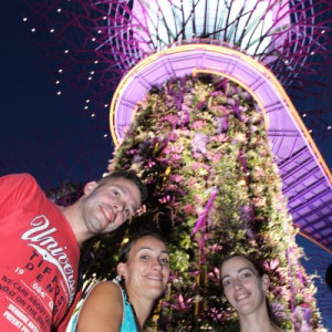 Supertree Grove