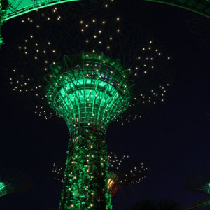 Supertree Grove