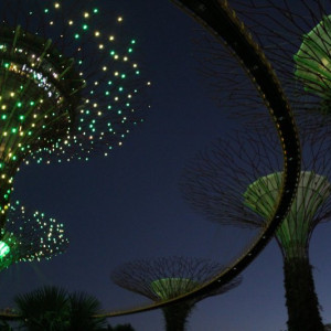 Supertree Grove