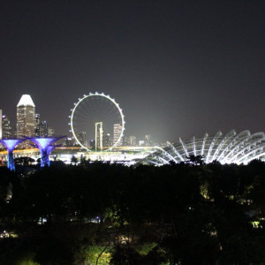 Vista desde OCBC Skyway