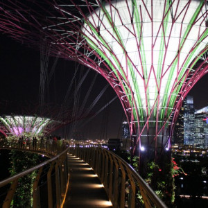 OCBC Skyway