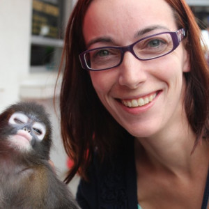 Macaquinho sonolento...