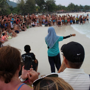 Largada de tartarugas recém-nascidas na praia